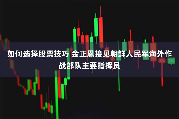 如何选择股票技巧 金正恩接见朝鲜人民军海外作战部队主要指挥员