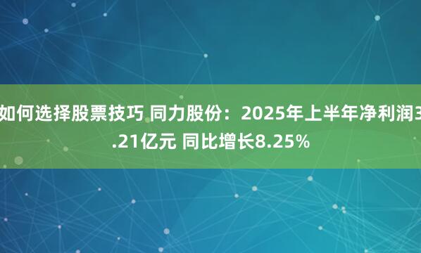 如何选择股票技巧 同力股份：2025年上半年净利润3.21亿元 同比增长8.25%