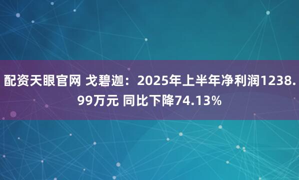配资天眼官网 戈碧迦：2025年上半年净利润1238.99万元 同比下降74.13%