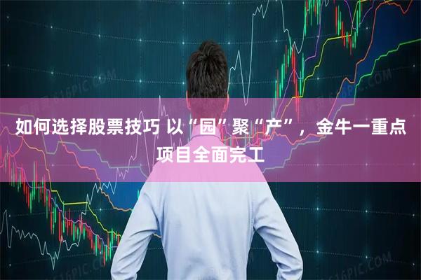 如何选择股票技巧 以“园”聚“产”，金牛一重点项目全面完工